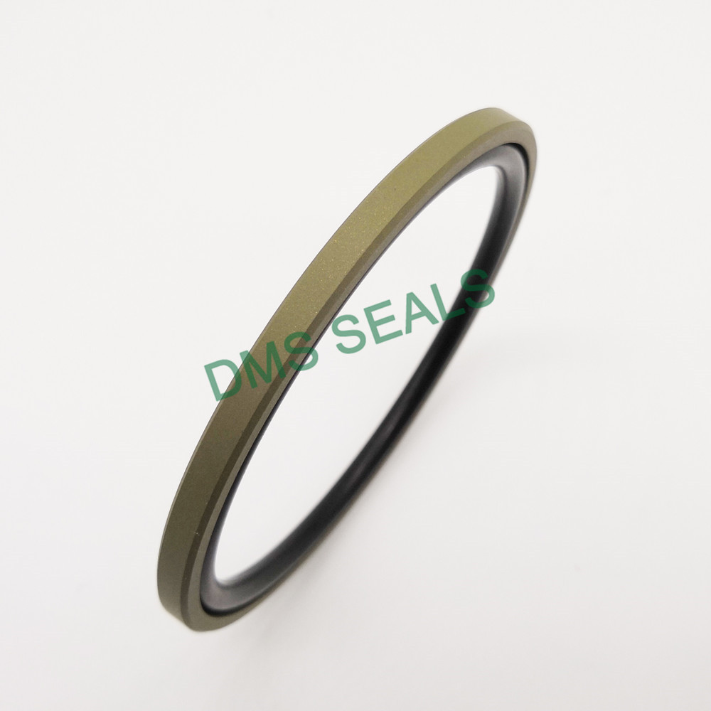 DMS Seal Manufacturer-piston o ring | Others | DMS Seal Manufacturer-2