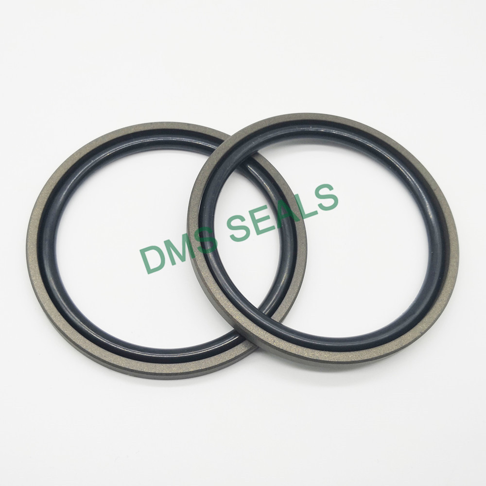 custom glyd ring glyd ring for piston and hydraulic cylinder-DMS Seals-img