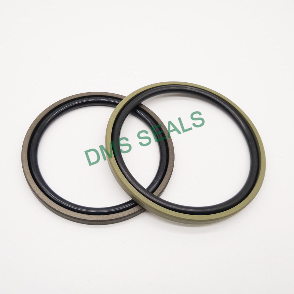 custom glyd ring glyd ring for piston and hydraulic cylinder-DMS Seals-img