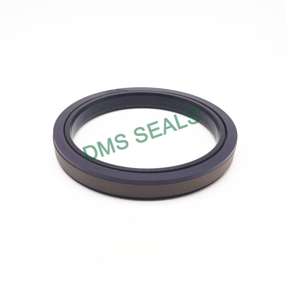 DMS Seal Manufacturer piston seals supplier-2