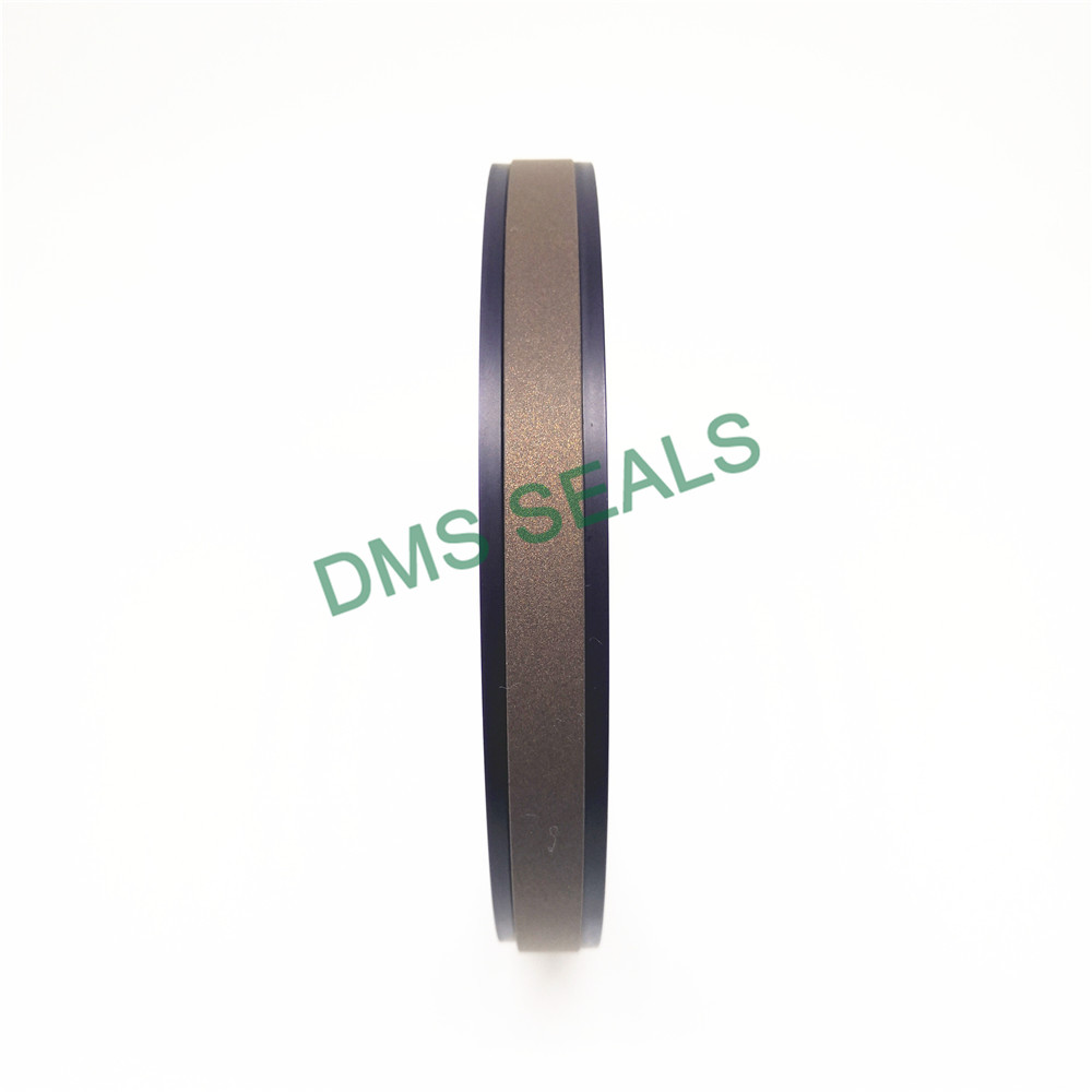 DMS Seal Manufacturer-Hydraulic Compact Piston Seal SPGW-2