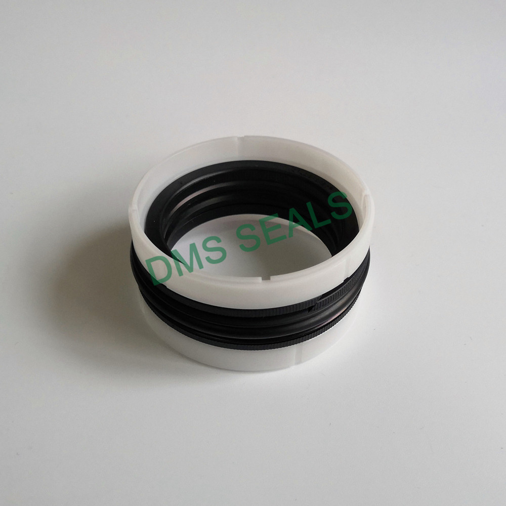 DMS Seal Manufacturer piston seals glyd ring for larger piston clearance-2