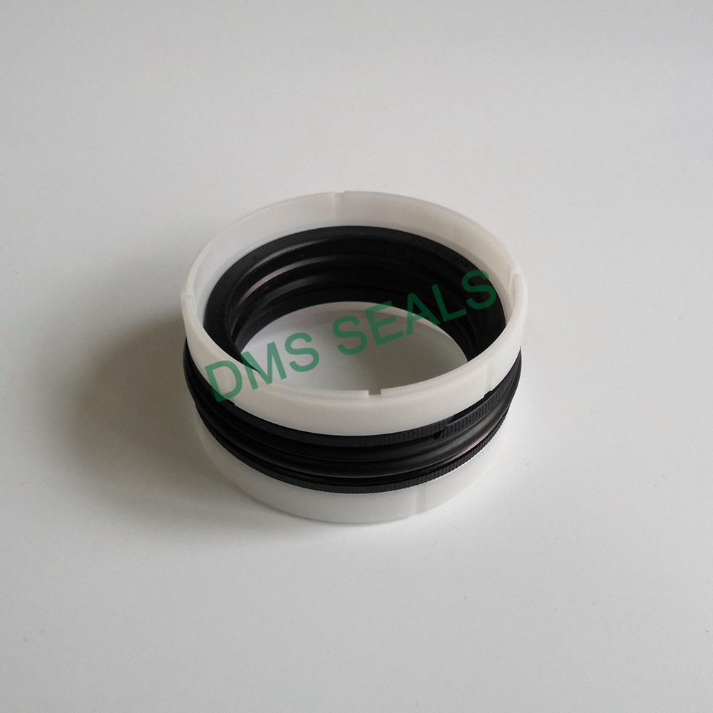 Hydraulic Compact Piston Seal TPM Piston Seal Manufacturers