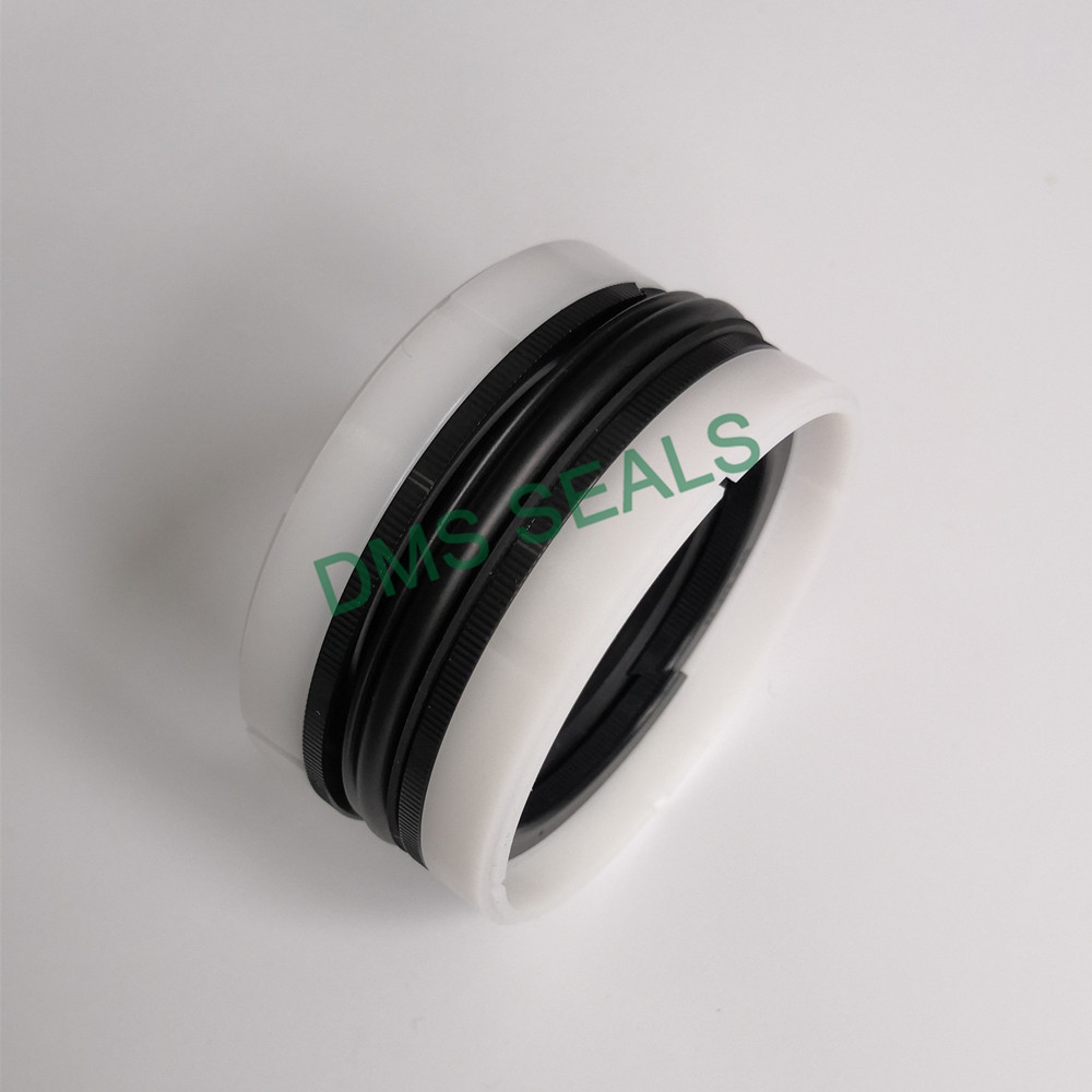 piston rings by bore size DMS Seal Manufacturer-3