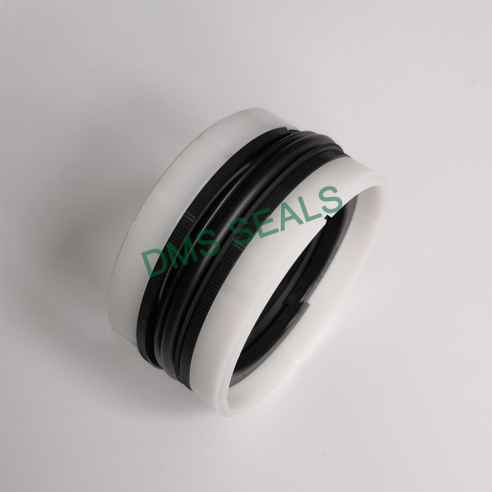 DMS Seal Manufacturer hot sale rod seal o ring-3