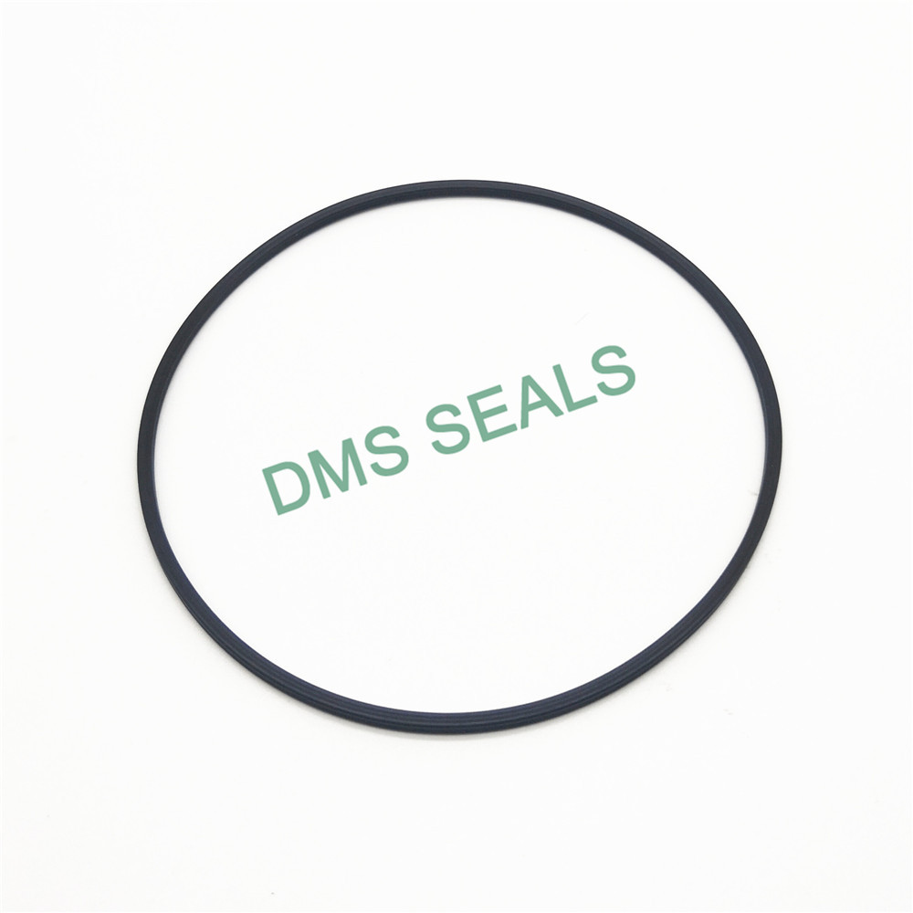 DMS Seal Manufacturer o-ring seal in highly aggressive chemical processing-2