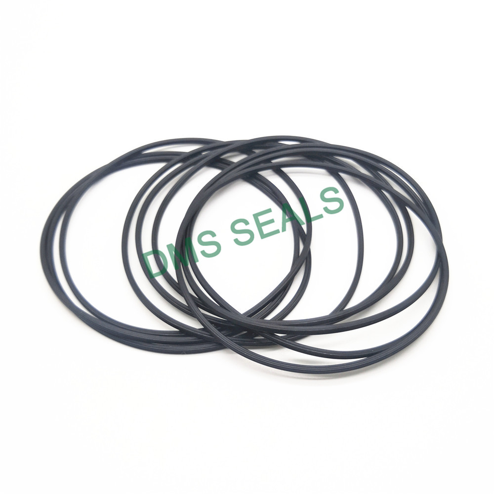 news-DMS Seals-DMS Seal Manufacturer o ring seal manufacturer factory for static sealing-img