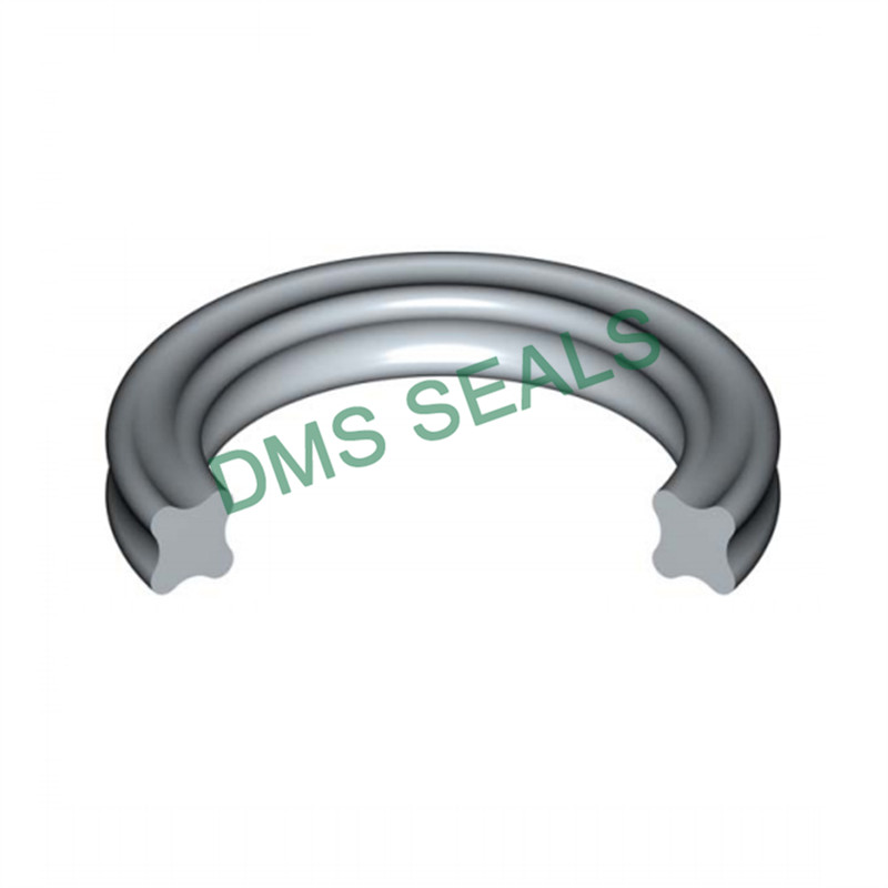 DMS Seal Manufacturer o-ring seal design for static sealing-1