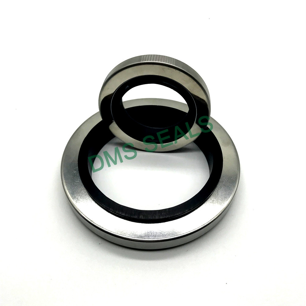 DMS Seal Manufacturer-oil seal ring | Oil Seals | DMS Seal Manufacturer-1