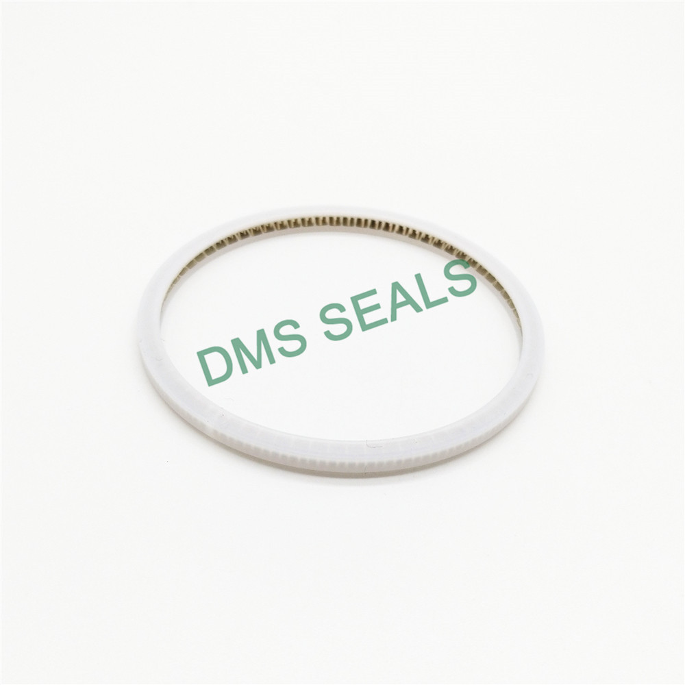 DMS Seals unbalanced mechanical seal supply for reciprocating piston rod or piston single acting seal-2