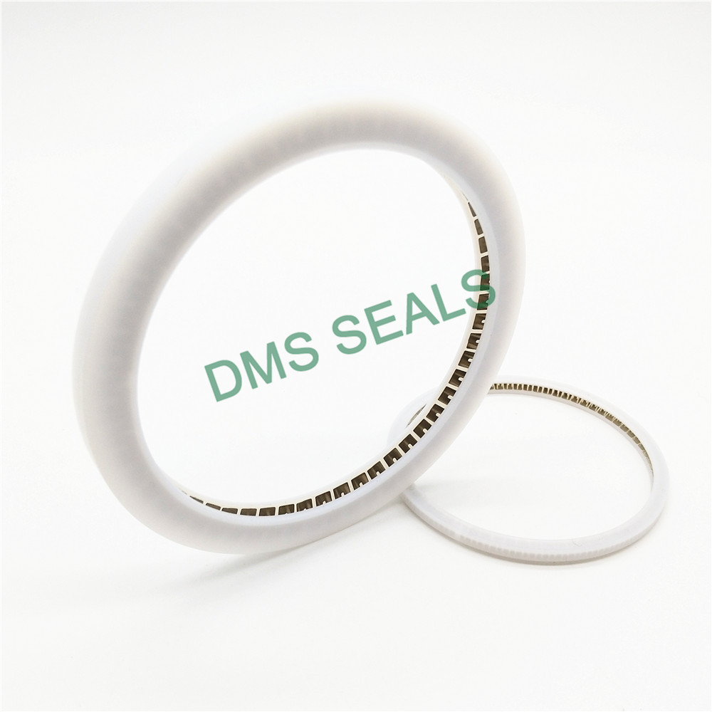 DMS Seal Manufacturer oil seal manufacturer parts for reciprocating piston rod or piston single acting seal-1
