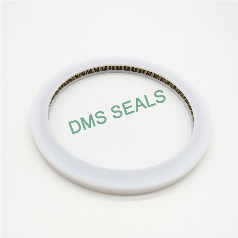 news-DMS Seals-DMS Seal Manufacturer spiral spring gasket factory for reciprocating piston rod or pi
