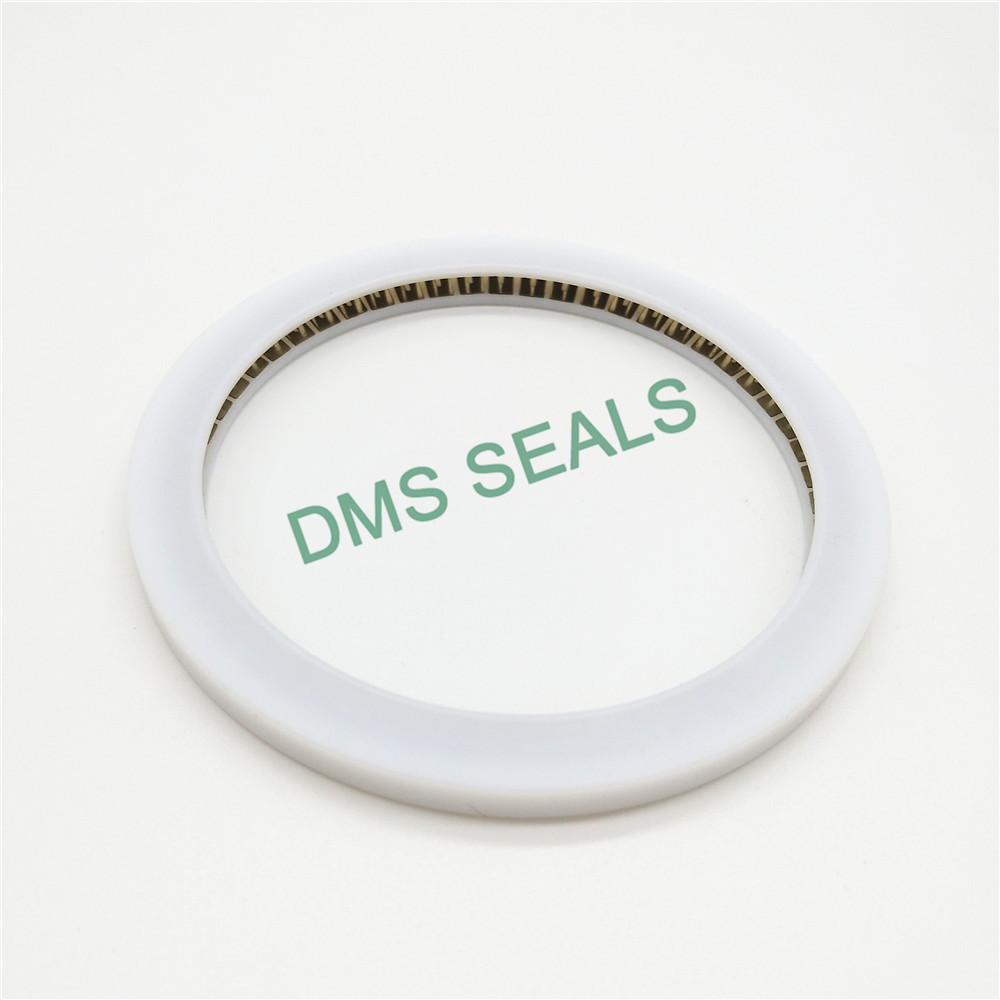 Internal face spring energized seal with PTFE material