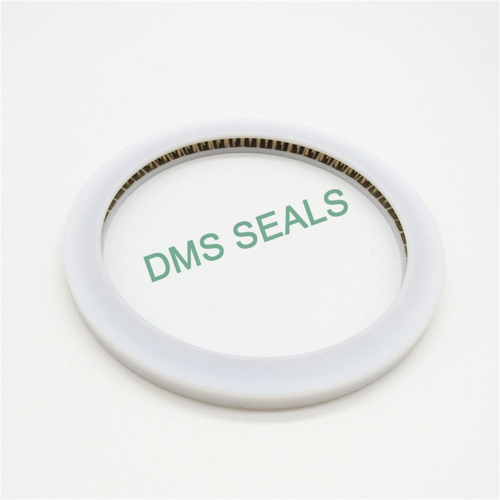 Internal face spring energized seal with PTFE material