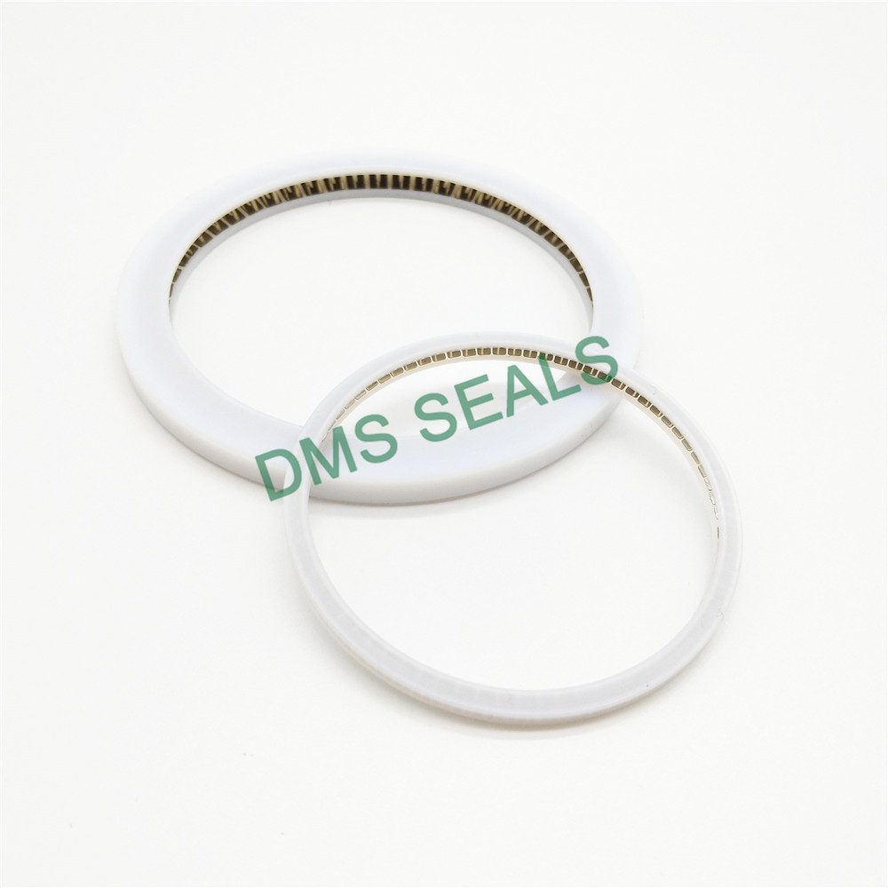 DMS Seal Manufacturer oil seal manufacturer parts for reciprocating piston rod or piston single acting seal-2
