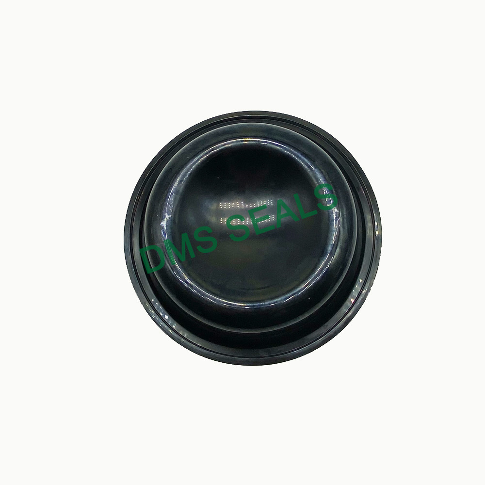 product-plug rubber oil seal manufacturers for leakage gap-DMS Seals-img