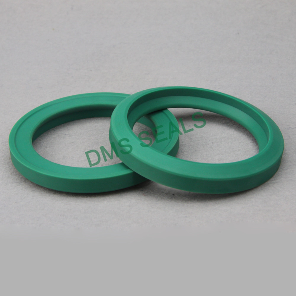 DMS Seal Manufacturer hydraulic oil seal supplier for piston and hydraulic cylinder-1