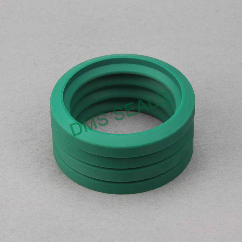 Latest soft seal suppliers manufacturer for piston and hydraulic cylinder-DMS Seals-img