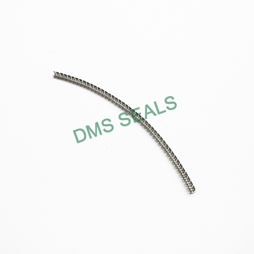 Stainless Steel Spring for Spring Energized Seal Variseal FSKR