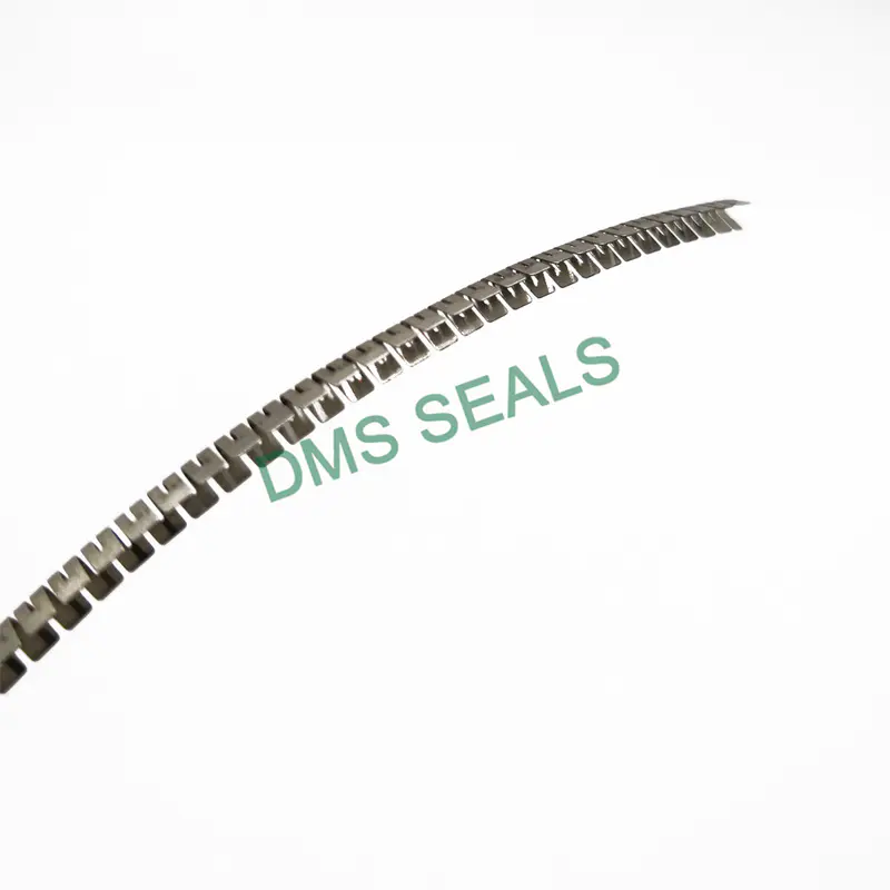 Stainless Steel Spring for Spring Energized Seal Variseal FSKR
