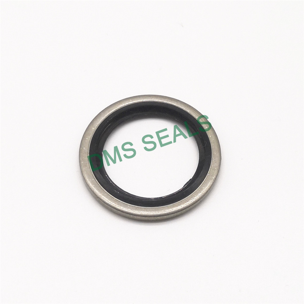 DMS Seal Manufacturer bonded sealing washer dimensions factory for threaded pipe fittings and plug sealing-1