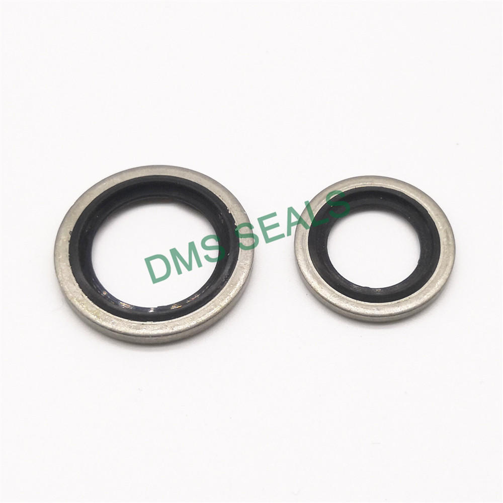 High Temperature Resistant SS316 Combination Gasket Bonded Seal