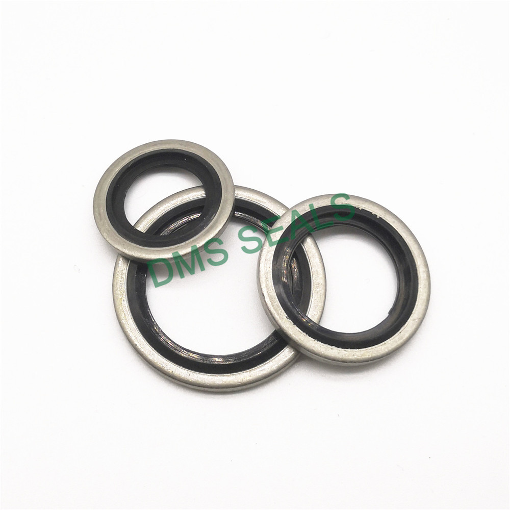 application-best centralising washer company for threaded pipe fittings and plug sealing-DMS Seals-i