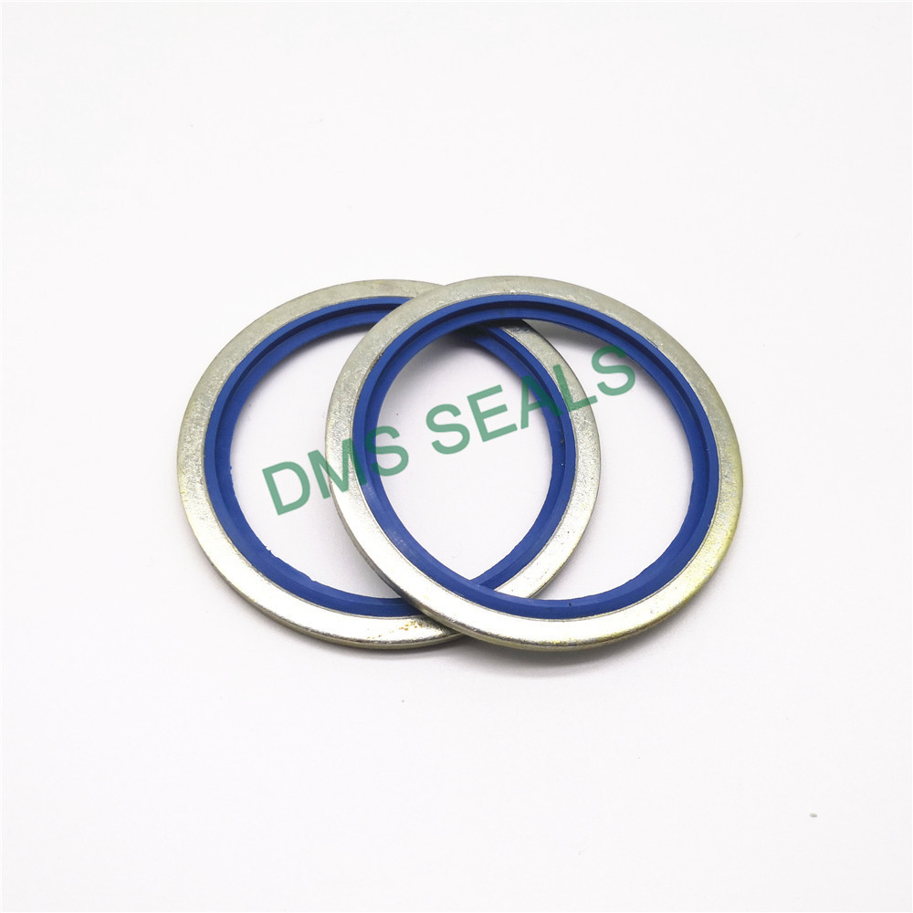 DMS Seal Manufacturer self centering washer company for fast and automatic installation-2