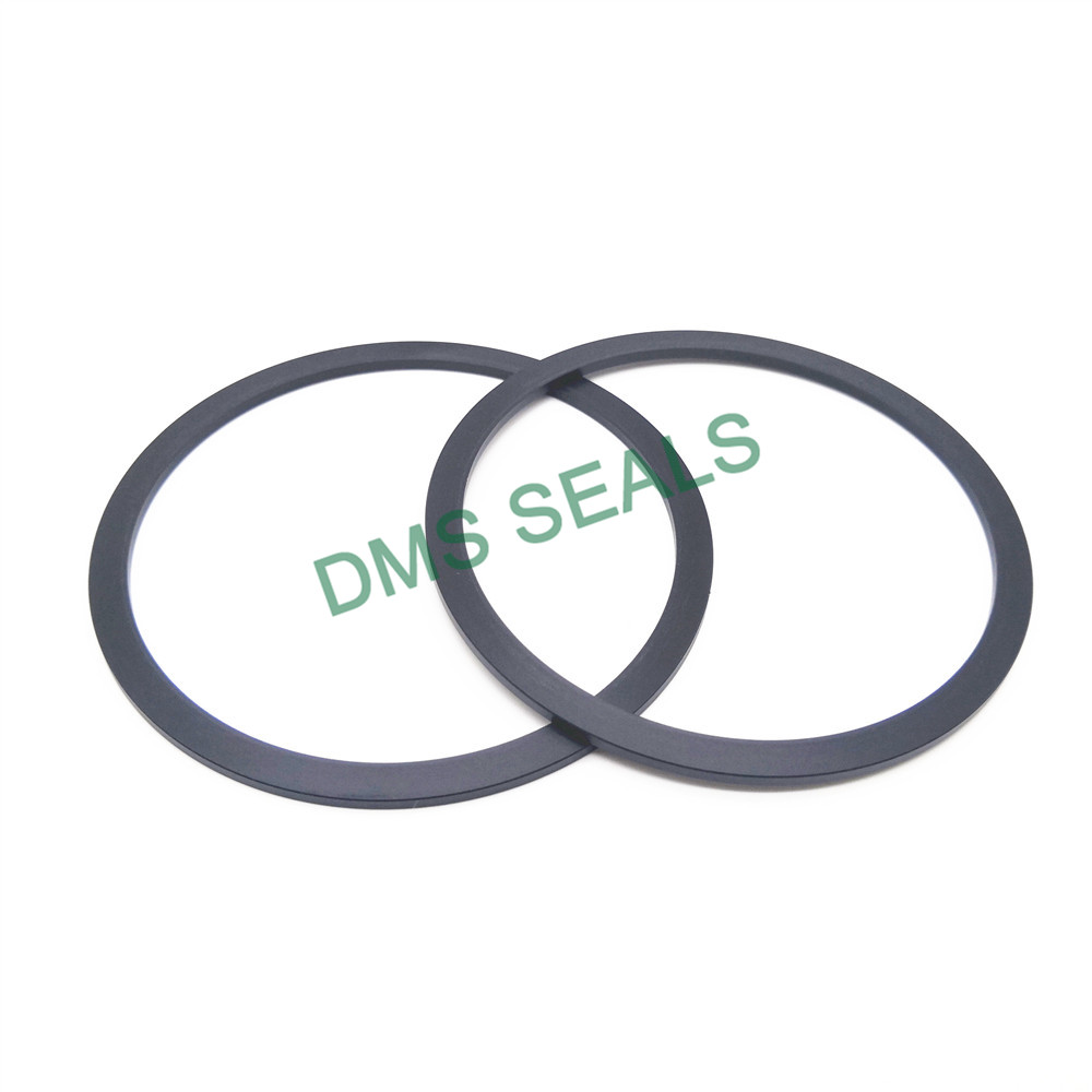 DMS Seals Custom Gasket factory for preventing the seal from being squeezed-2