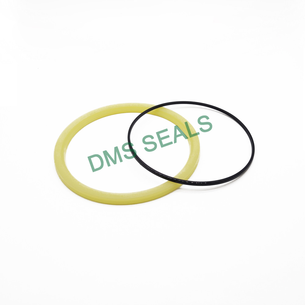 news-DMS Seals-DMS Seal Manufacturer Latest push rod seal Supply for pressure work and sliding high 