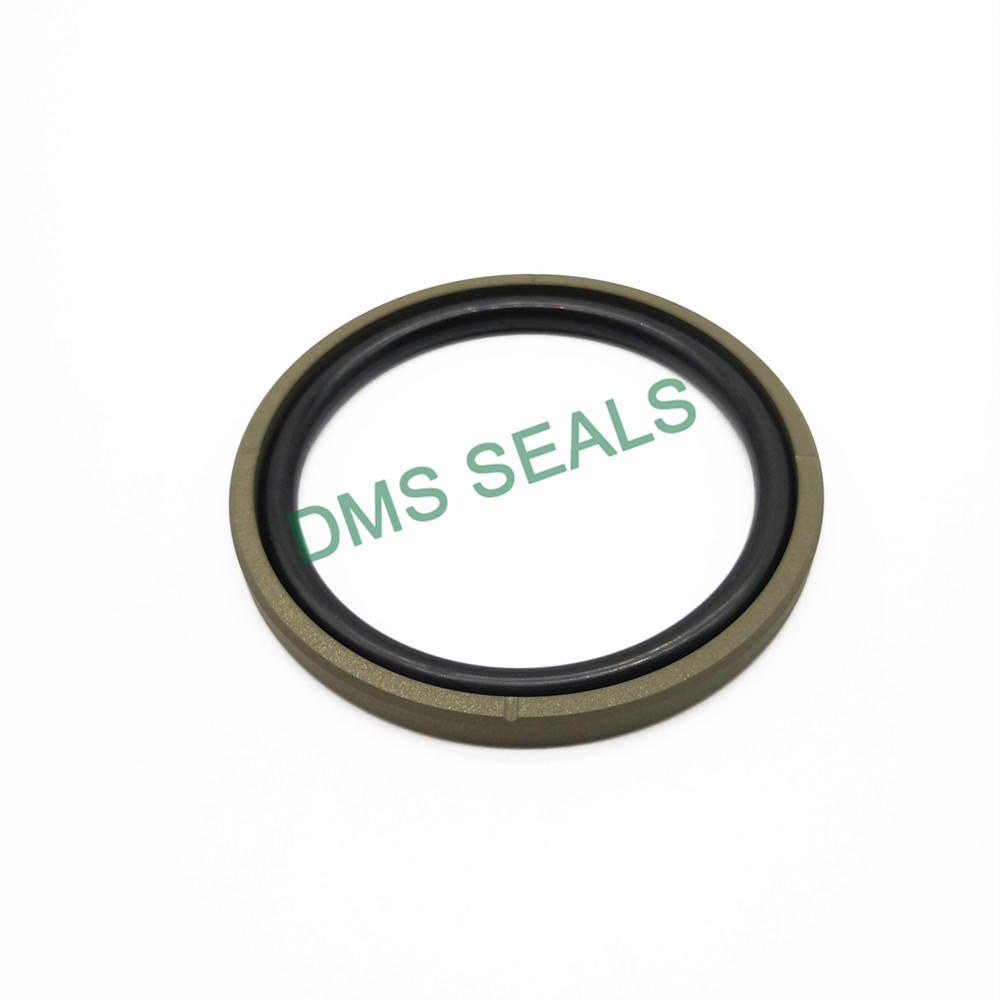 GSF Straight Groove- Bronze PTFE Hydraulic Piston Seal glyd ring with NBR/FKM O-Ring