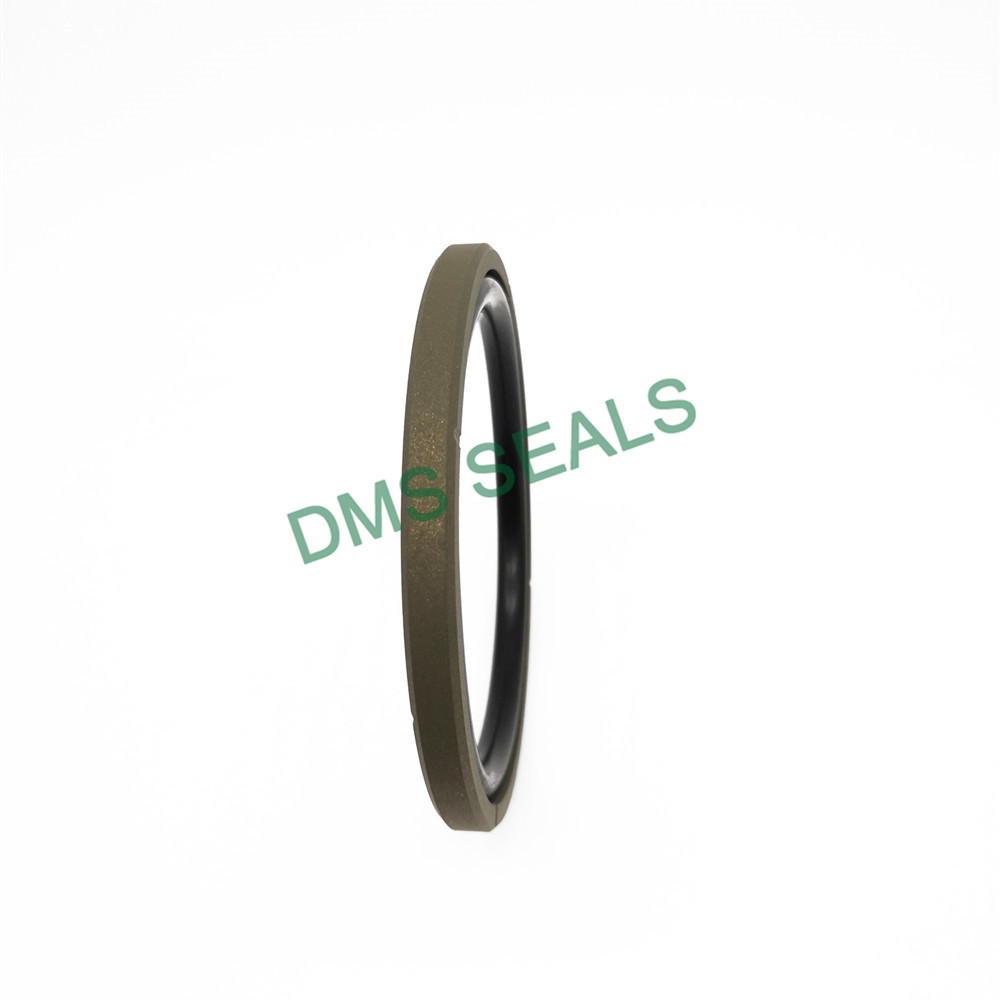 product-DMS Seals-img