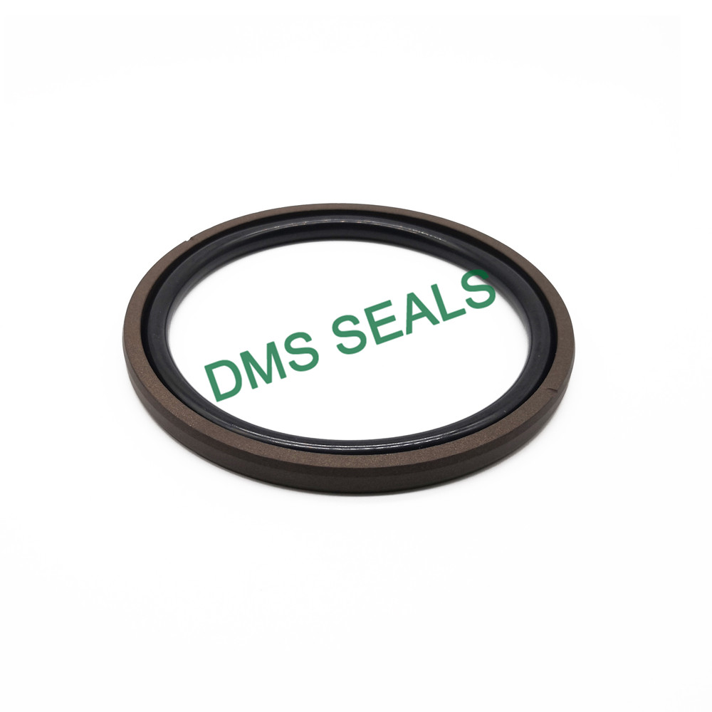 DMS Seals piston oil seal glyd ring for sale-3