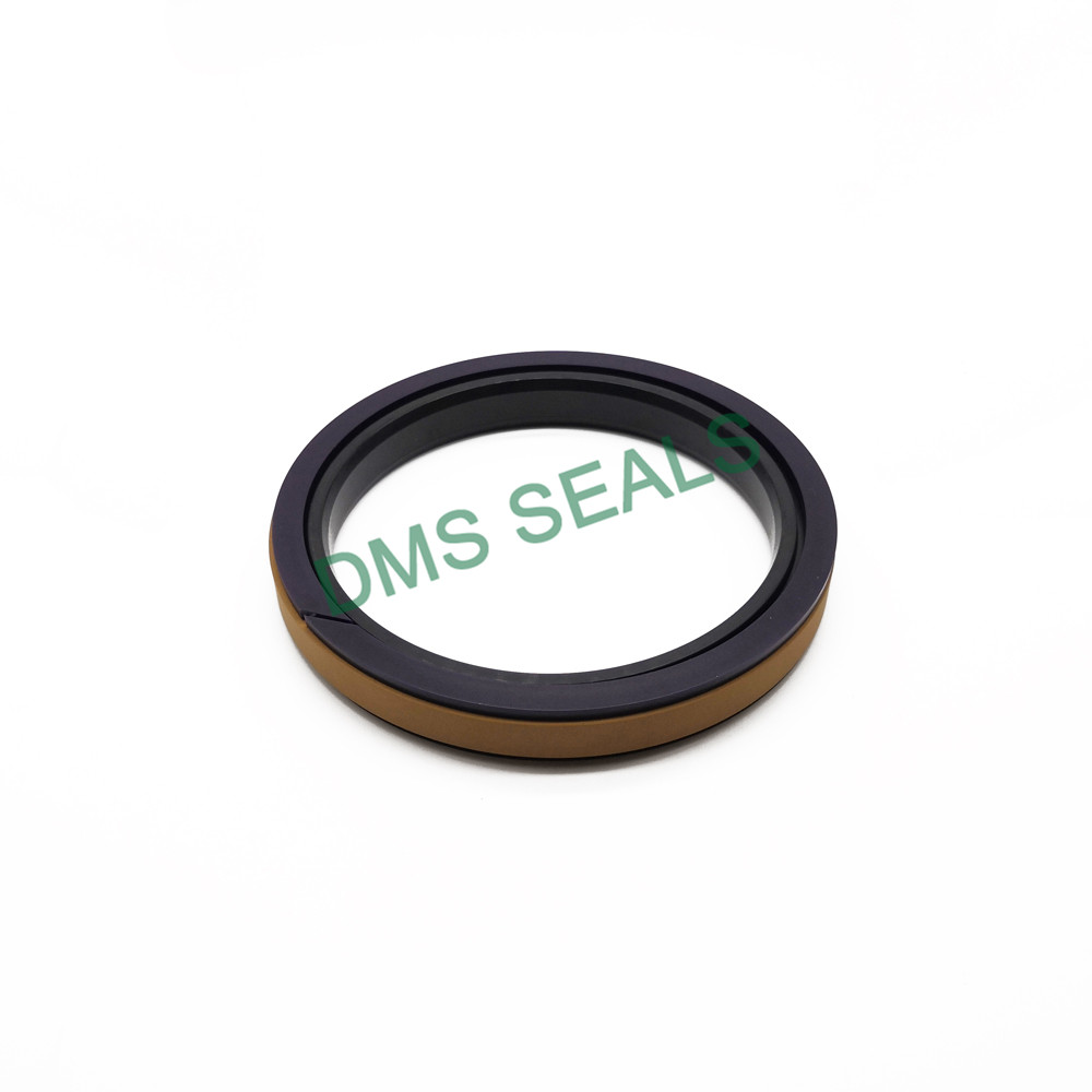 DMS Seal Manufacturer combined piston seals glyd ring for sale-2