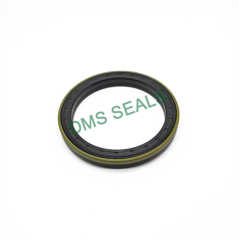 DMS Seals Buy leather oil seals factory for low and high viscosity fluids sealing-1