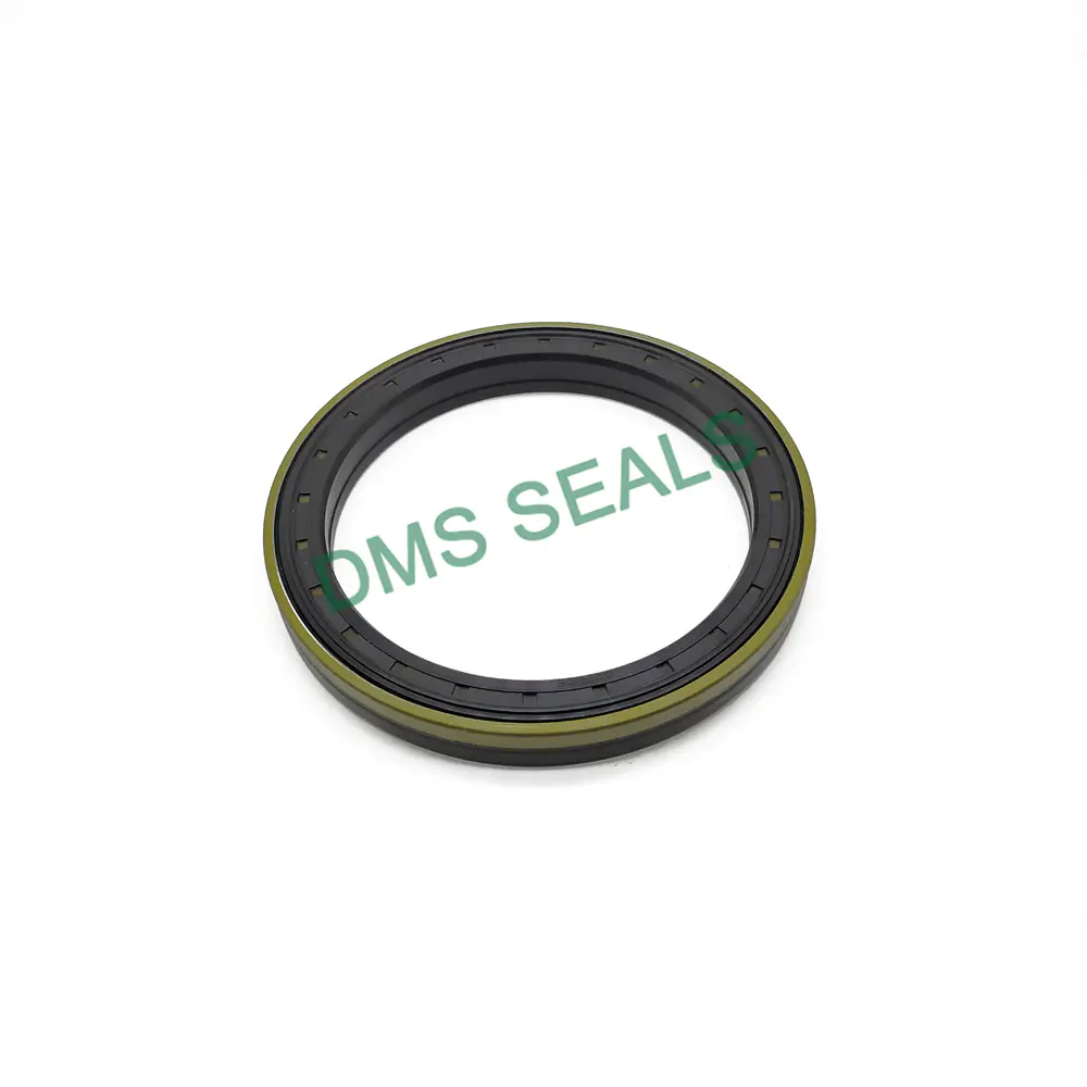 Heat Resistance Cassette Oil Seal for Trailer Wheel Bearings