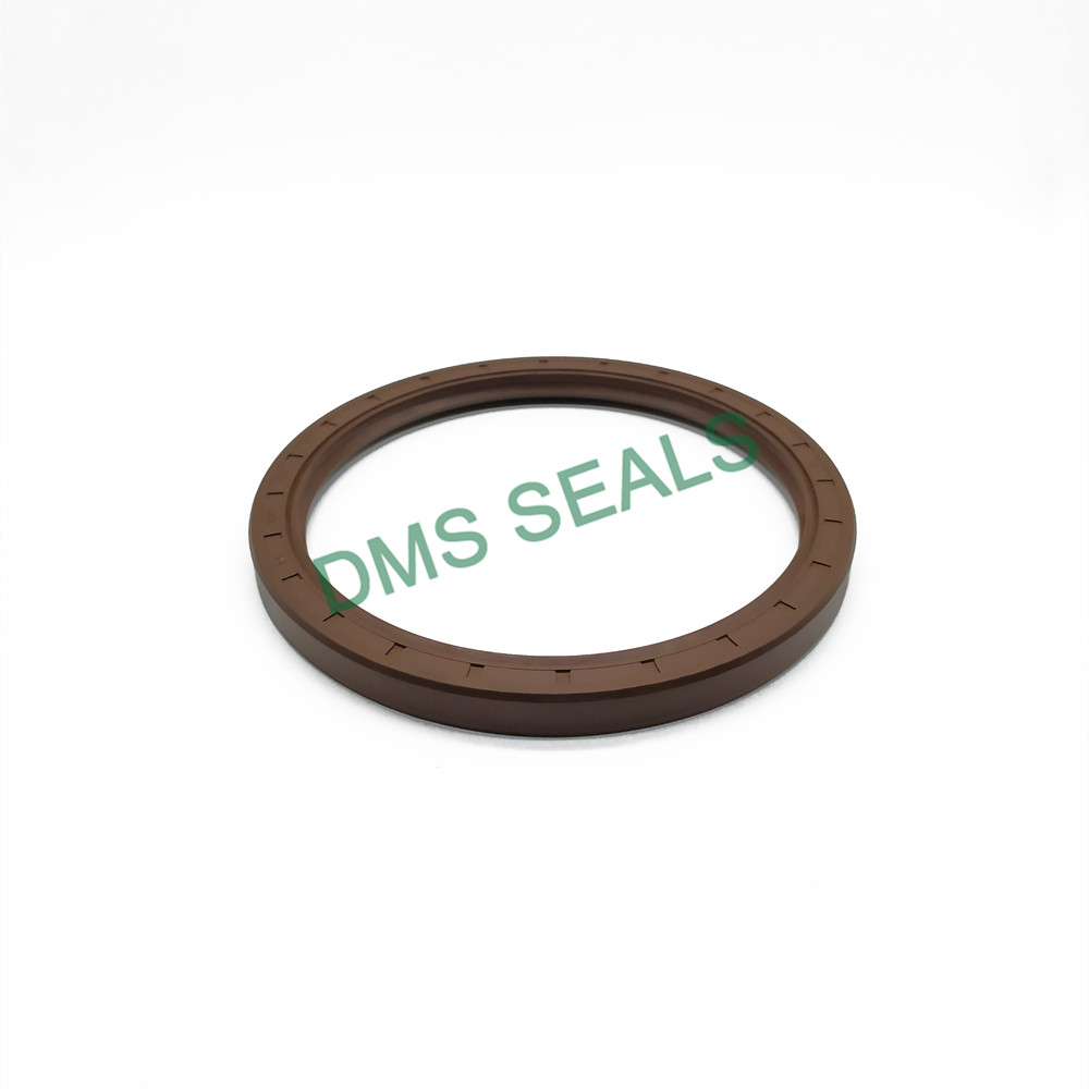 DMS Seals professional lip seal suppliers with integrated spring for housing-1