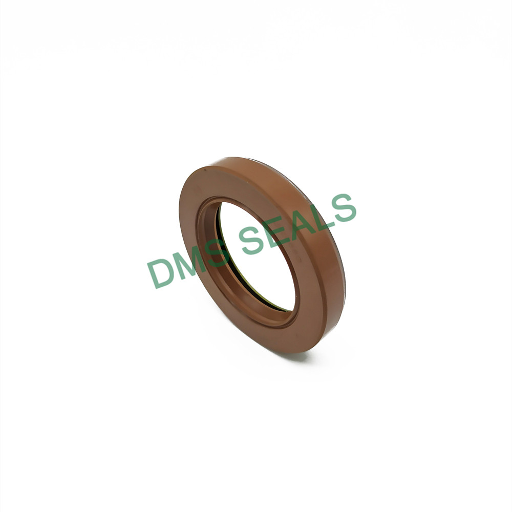 application-hot sale custom oil seals with integrated spring for housing-DMS Seals-img