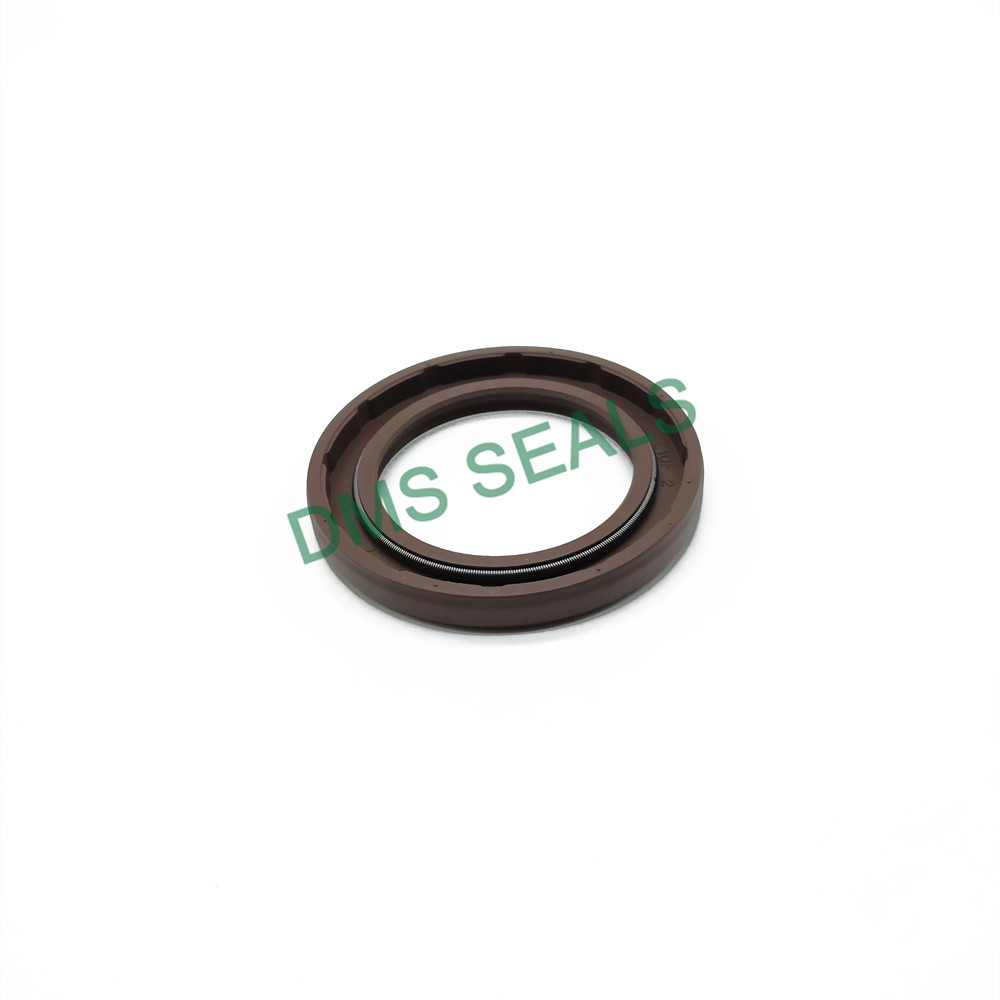 product-primary magnet oil seal with low radial forces for sale-DMS Seals-img
