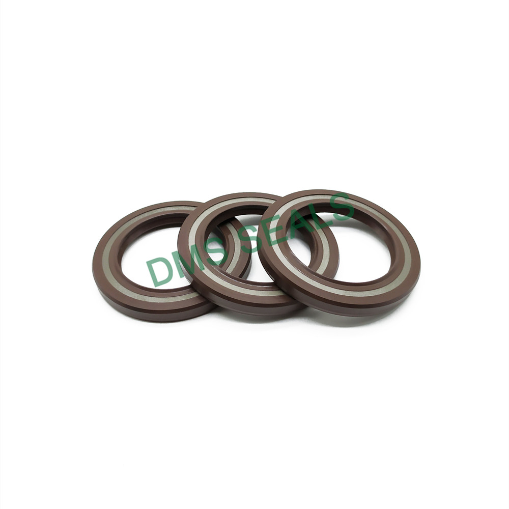 High Temperature Resistant Skeleton Oil Seal TCV FKM