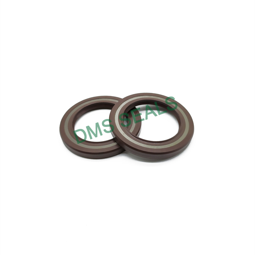 High Temperature Resistant Skeleton Oil Seal TCV FKM