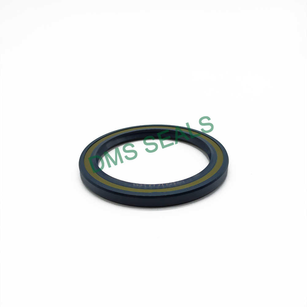 DMS Seals Bulk buy shaft seal for water pump supply for housing-1