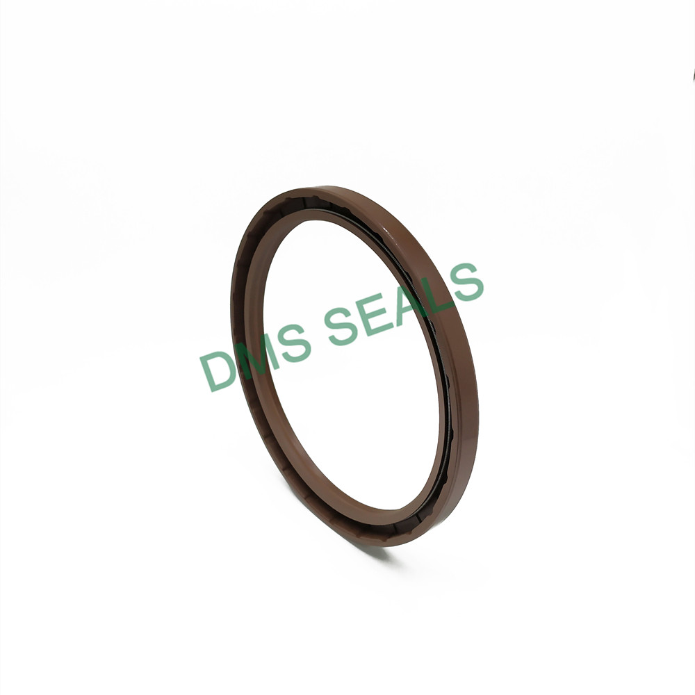 news-DMS Seals-DMS Seals professional diff oil seal with low radial forces for housing-img