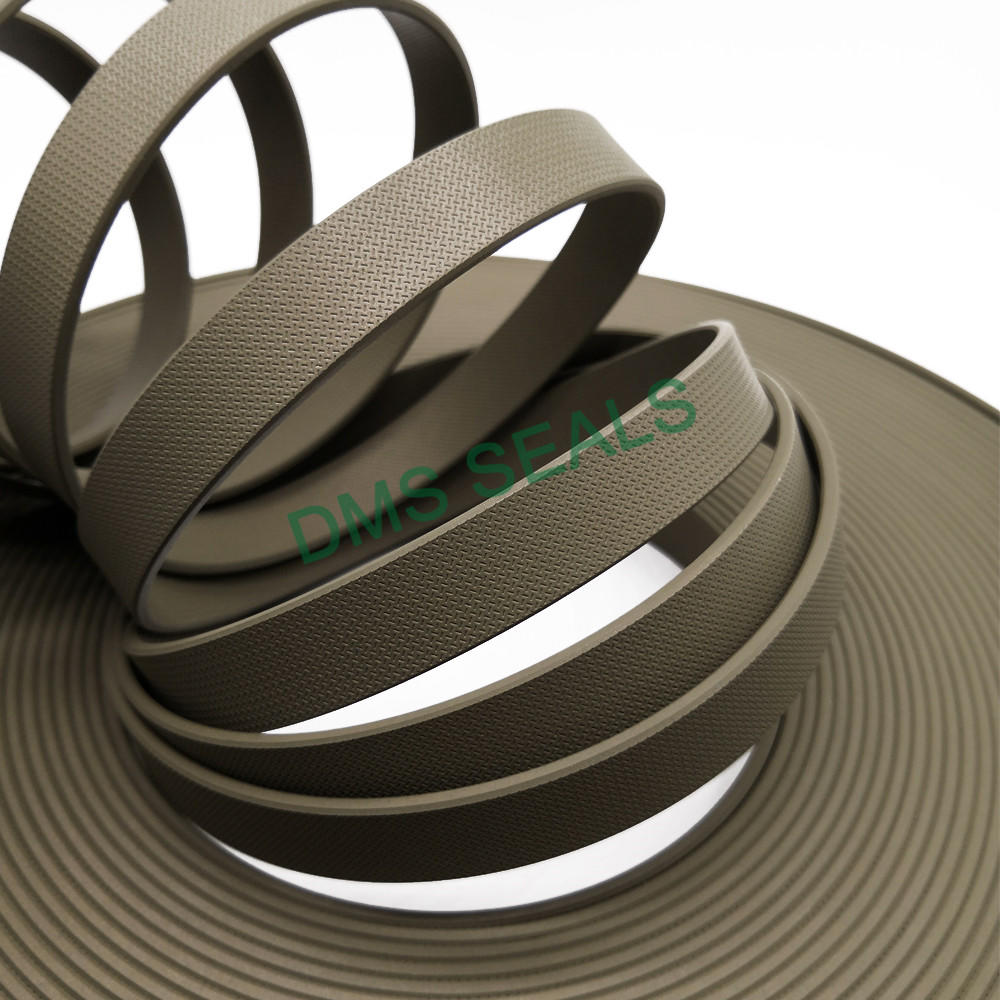Hydraulic Bronze PTFE Tape Guide Strip Wear Ring L08