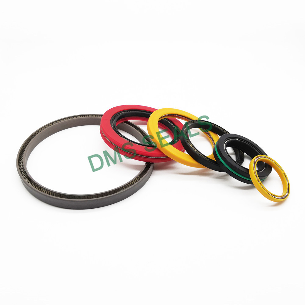 product-DMS Seal Manufacturer Best multi spring seal Suppliers for reciprocating piston rod or pisto