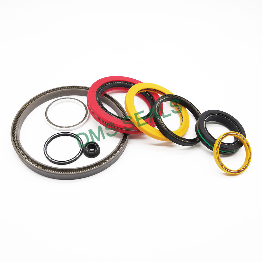 Wear-resistant and Durable Spring Energized Seal