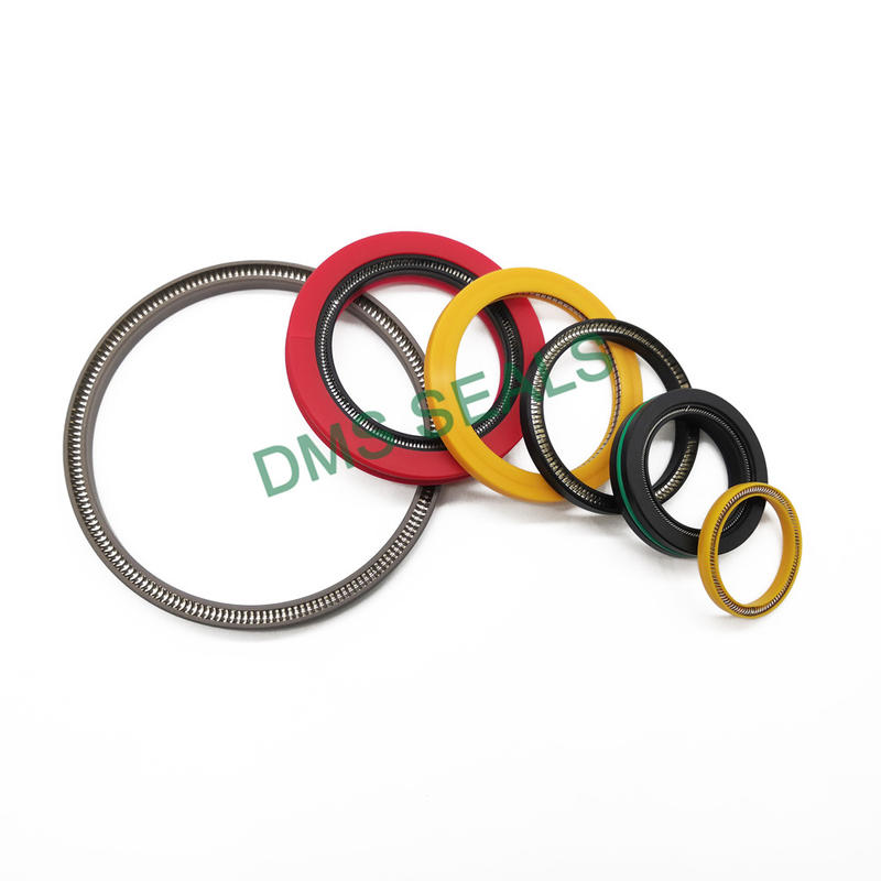 High Performance Spring Energized Seal