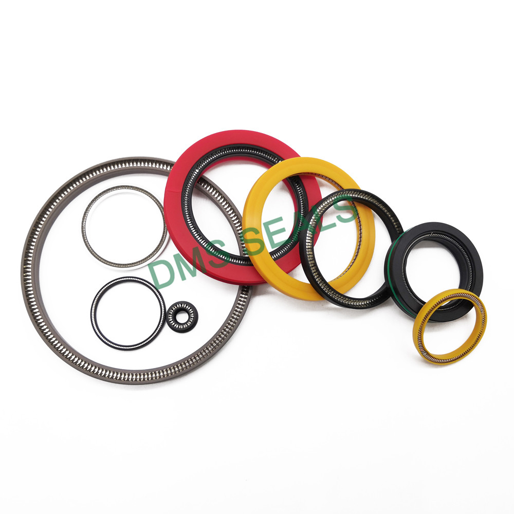 High Quality Spring Energized Seal