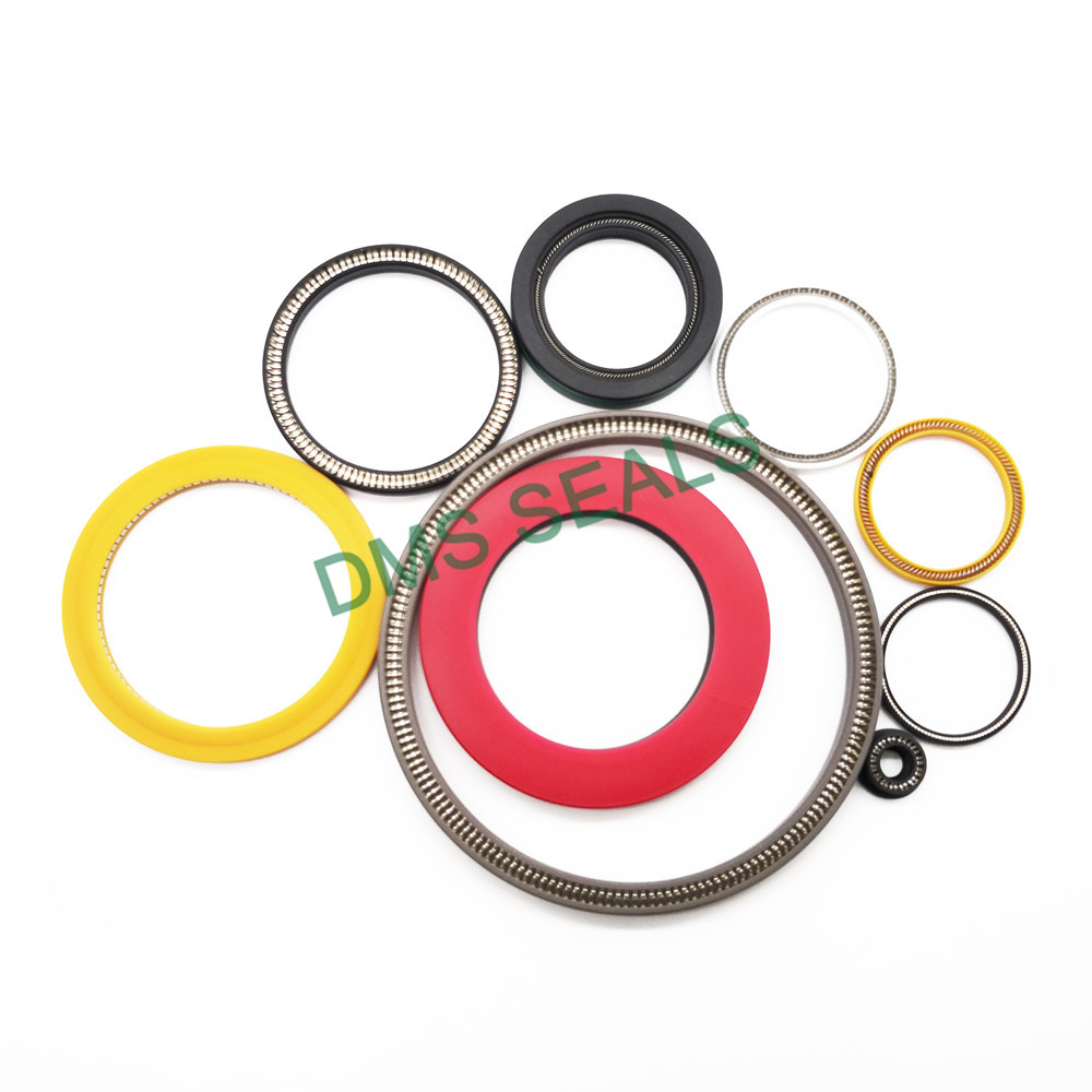 DMS Seals mechanical seal problems manufacturers for reciprocating piston rod or piston single acting seal-2