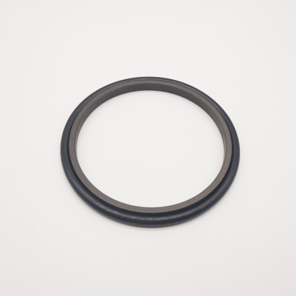 DMS Seal Manufacturer custom mechanical engineering seal glyd ring for piston and hydraulic cylinder-2